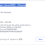 Software Developer